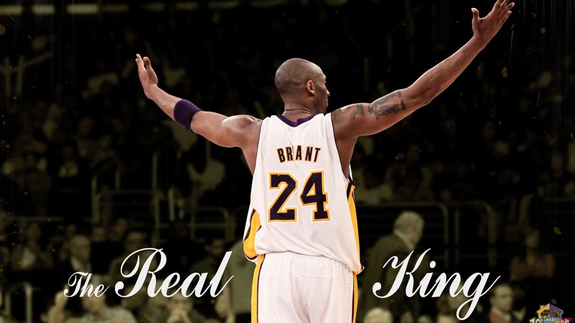 南非羚羊队:稳固防线与精准进攻,成为其他球队难以逾越的巅峰